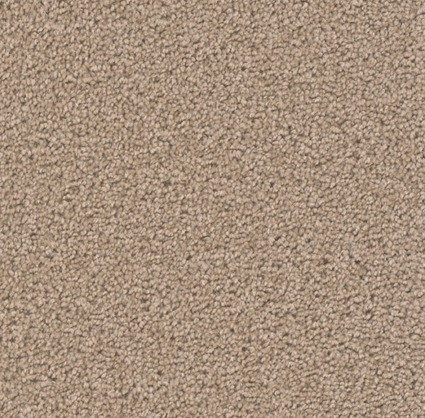 Dream Weaver Carpet Broadcast Plus Sandstone