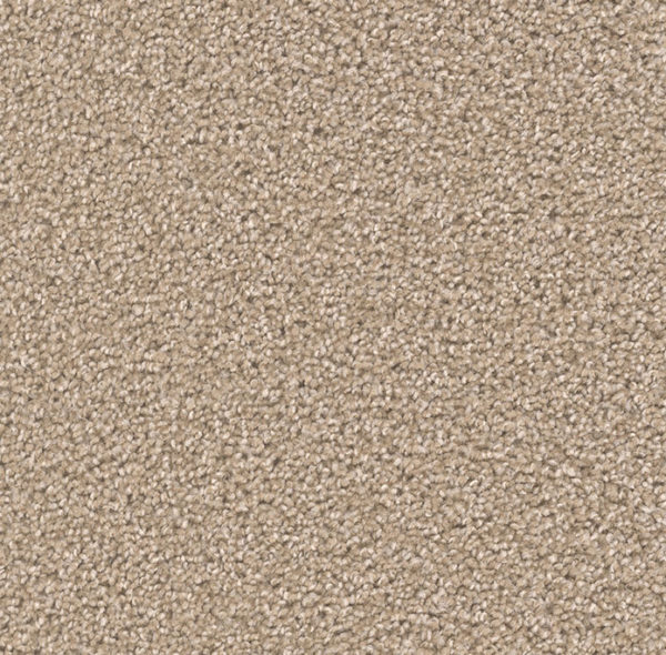 Dream Weaver Carpet Broadcast Plus Sawgrass