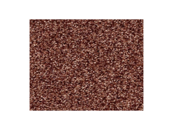 Shaw Carpet Anso Colorwall Find Your Comfort TT I Serene Sunset