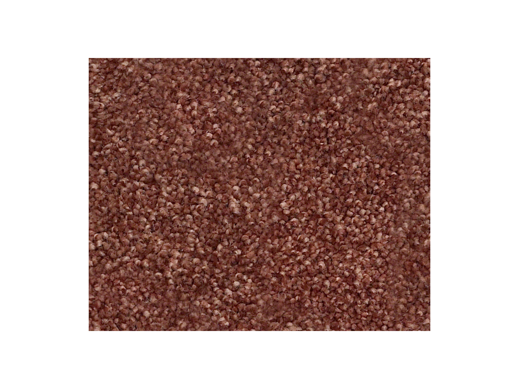 Shaw Carpet Anso Colorwall Find Your Comfort NS I Serene Sunset