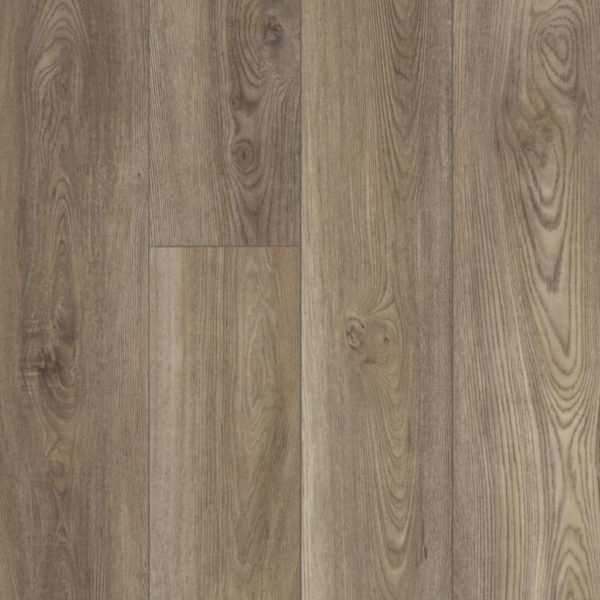 shaw floorte distinction plus ash oak