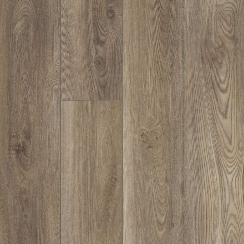 shaw floorte distinction plus ash oak
