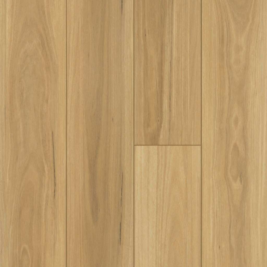 shaw floorte distinction plus eucalyptus