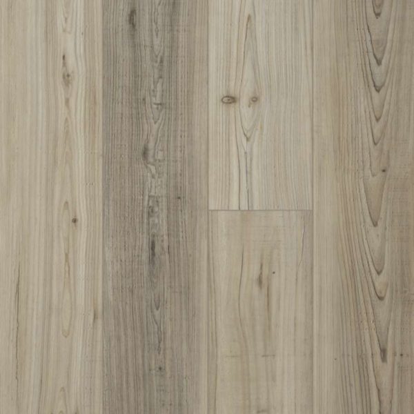 shaw floorte distinction plus light pine