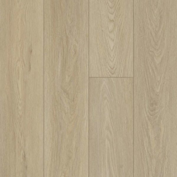 shaw floorte distinction plus timeless oak