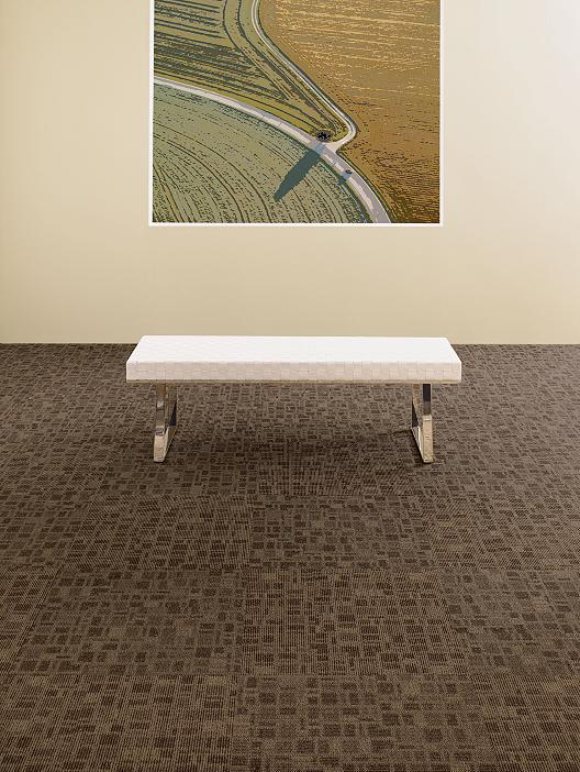 Shaw Philadelphia/Queen Carpet Tiles True Hardwoods
