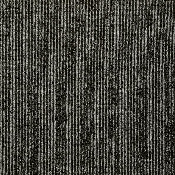 Shaw Philadelphia Carpet Tiles Carbon Copy Carbonized 54806-06510