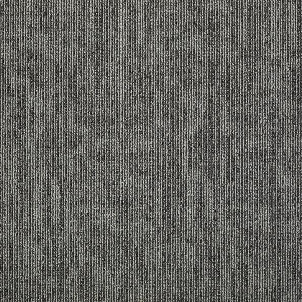 Shaw Philadelphia Carpet Tiles Carbon Copy Ditto 54806-06700