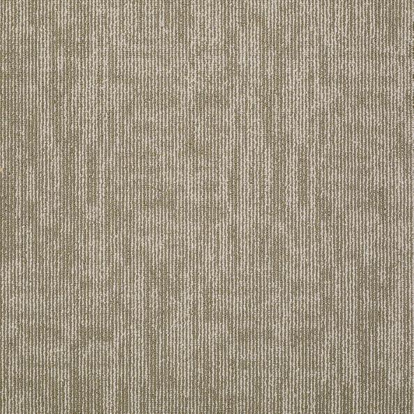 Shaw Philadelphia Carpet Tile Carbon Copy Mirror Image 54806-06100