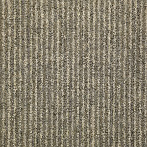 Shaw Philadelphia Carpet Tiles Carbon Copy Transfer 54806-06503