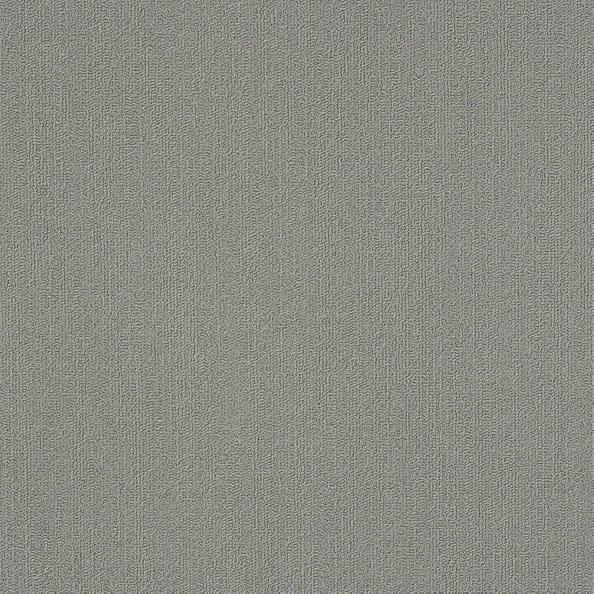 Shaw Color Accents Medium Gray 54462-62555