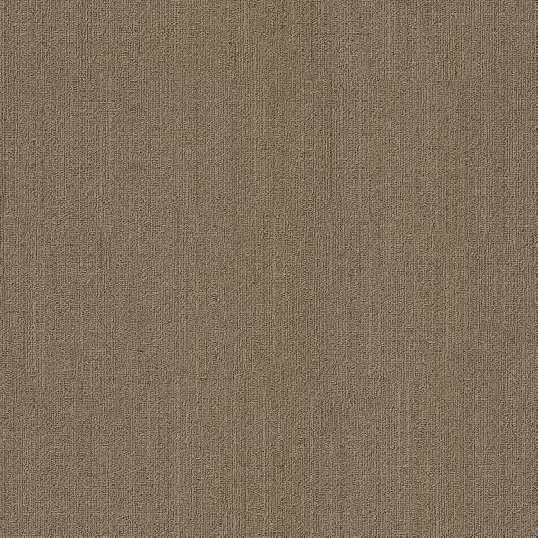 Shaw Color Accents Portabella 54462-62761