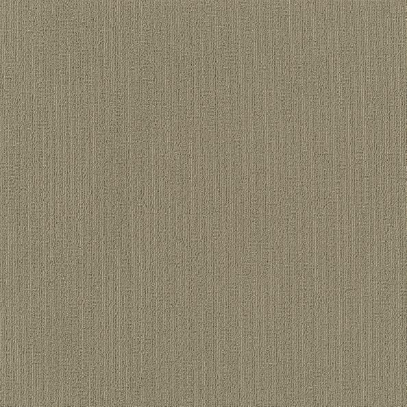 Shaw Color Accents Sage 54462-62327
