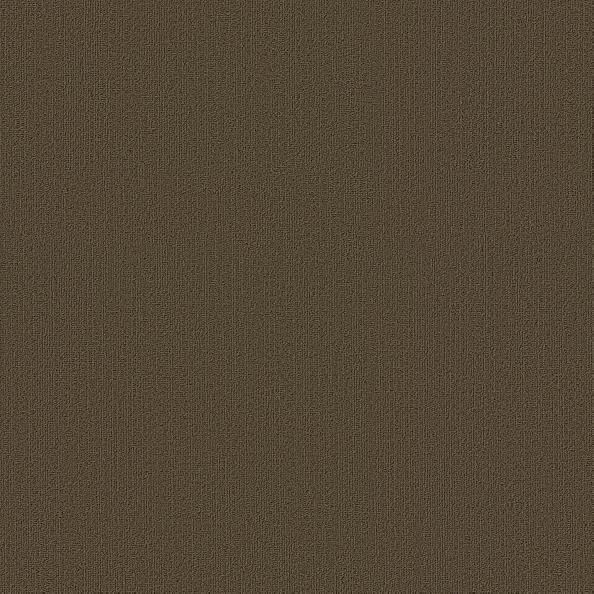 Shaw Color Accents Timber 54462-62309