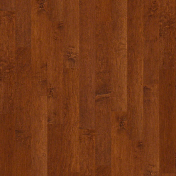 Shaw Hardwood Epic Plus Eastlake 5" Burnside SA496-00627