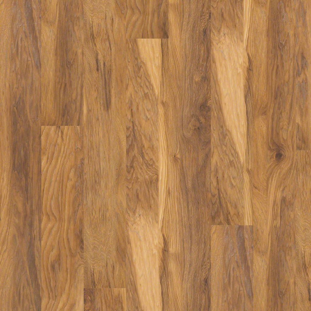 shaw flooring columbia sc 28 images top 28 shaw shaw flooring columbia sc 28 images top 28 shaw