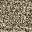 Shaw Multiplicity Plethora Carpet Tile 24" X 24"