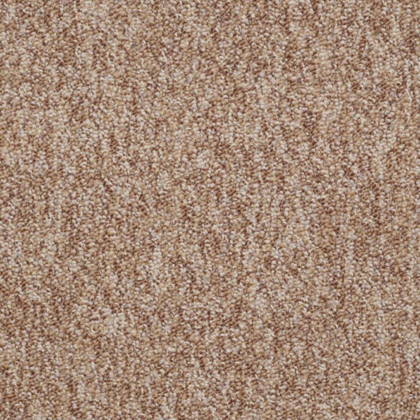 Shaw No Limits Potential Carpet Tile 24"x24" J0108-69702