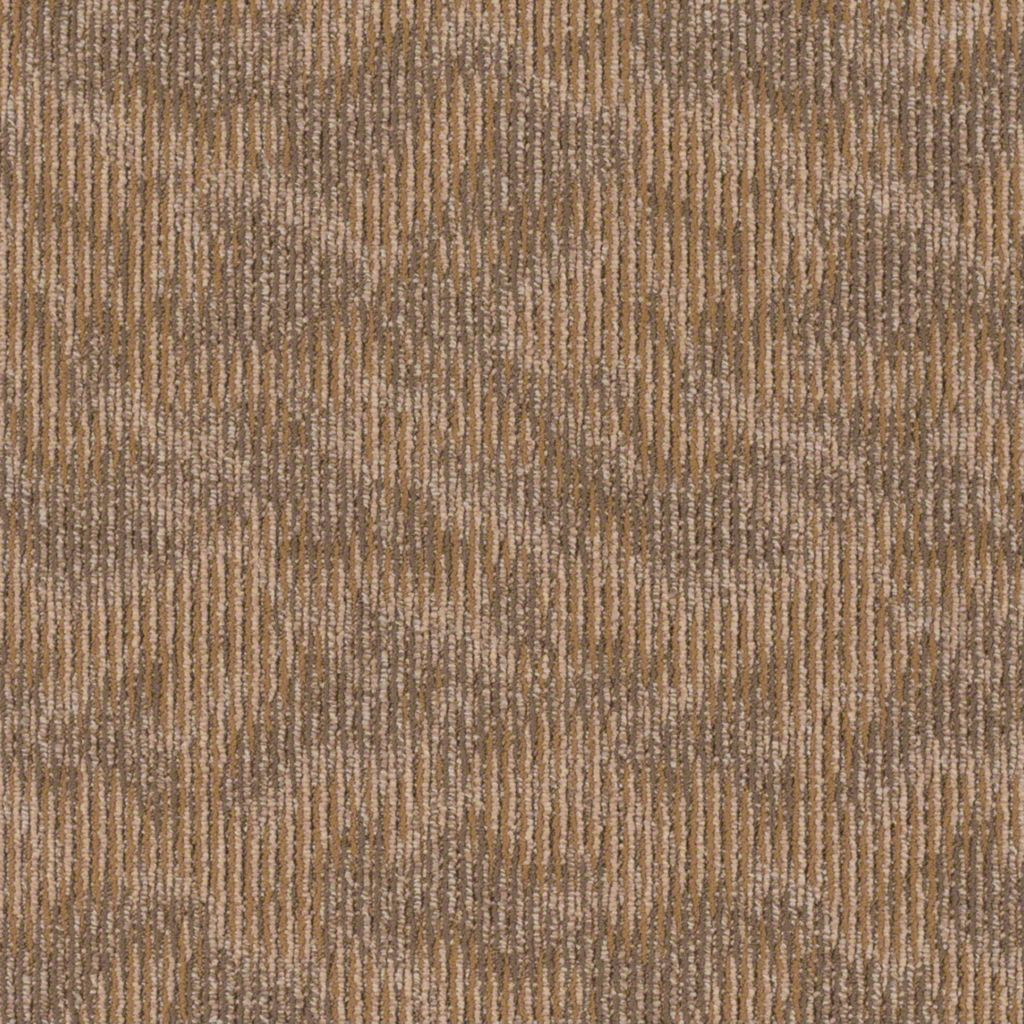Shaw Ripple Effect Echo Carpet Tile 24"x24" J0116-00201