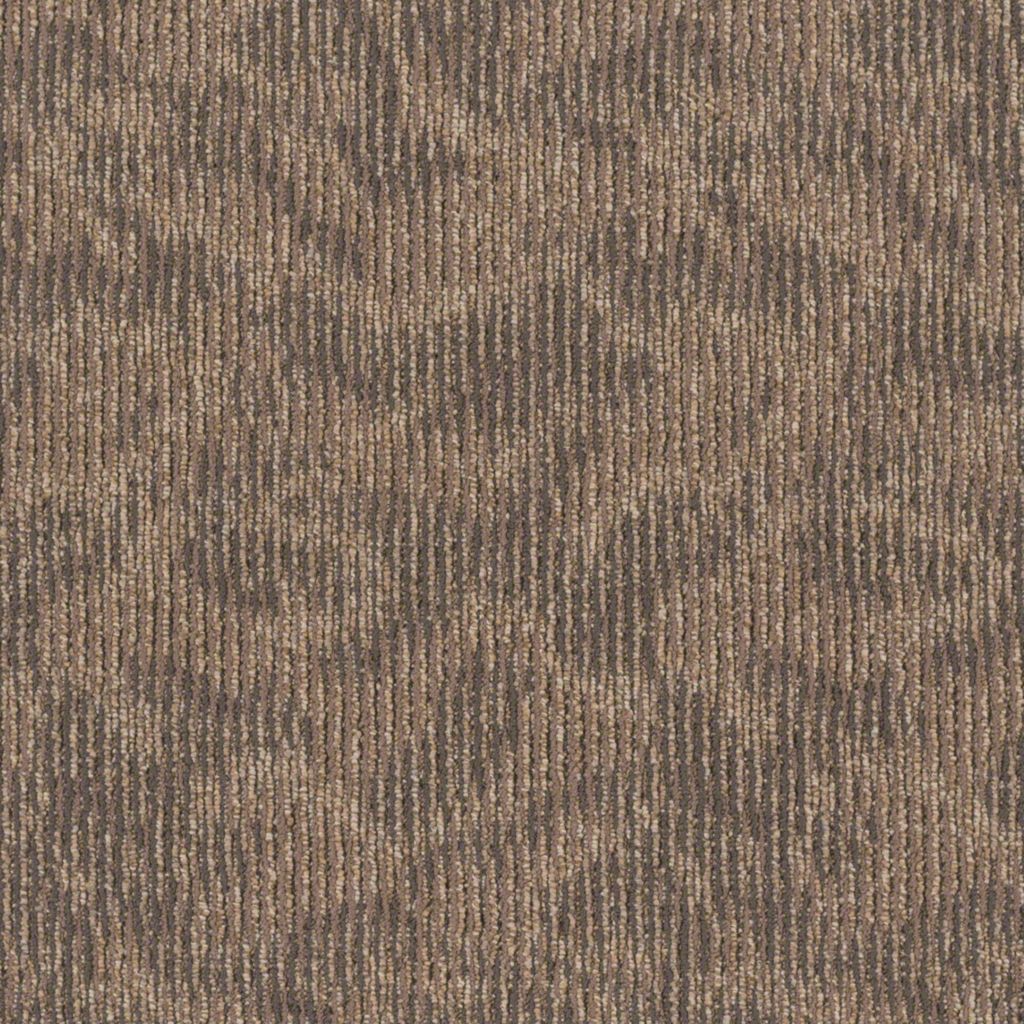 Shaw Ripple Effect Pay It Forward Carpet Tile 24"x24" J0116-00101