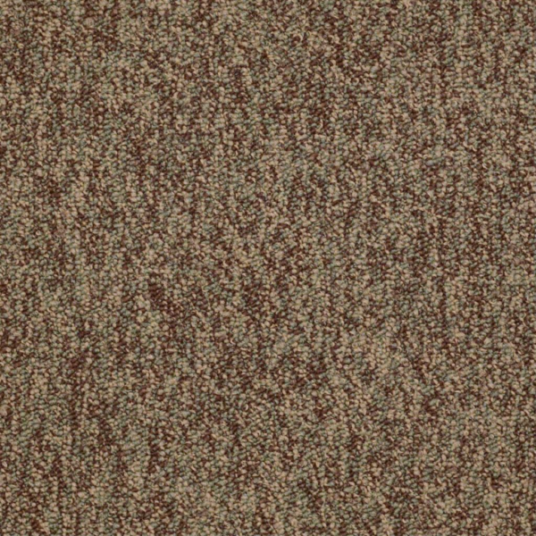 Shaw Sound Advice Do The Work Carpet Tile 24"x24" 54488-88302