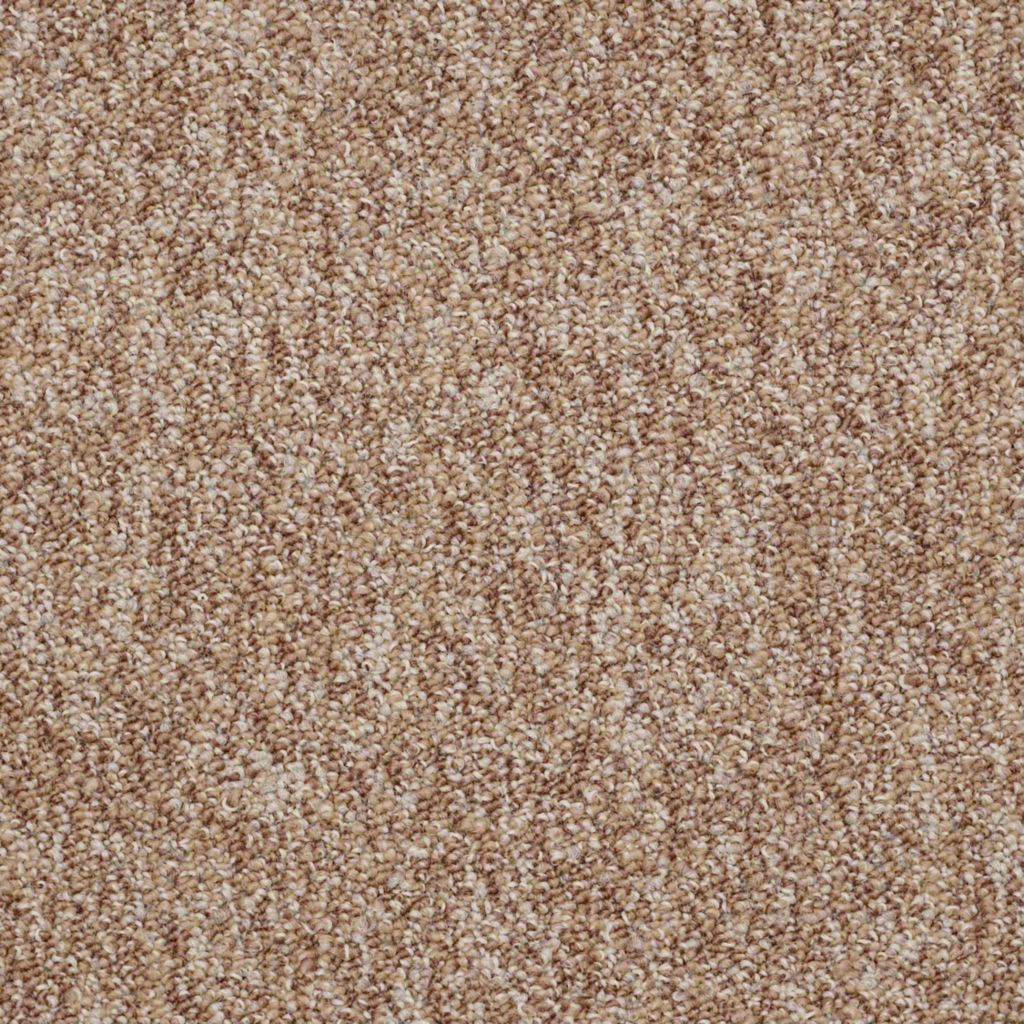 Shaw Sound Advice Encourage Carpet Tile 24"x24" 54488-88702