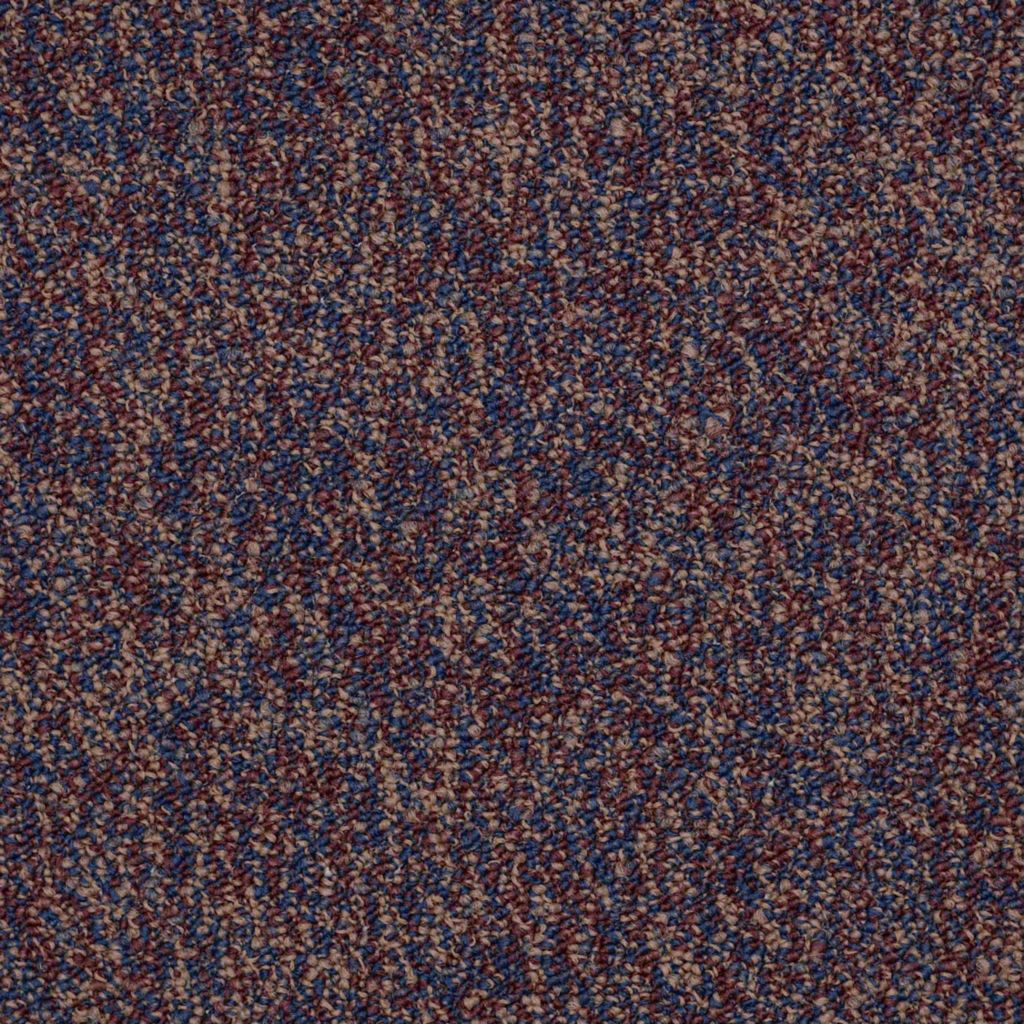 Shaw Sound Advice Exercise Carpet Tile 24"x24" 54488-88800