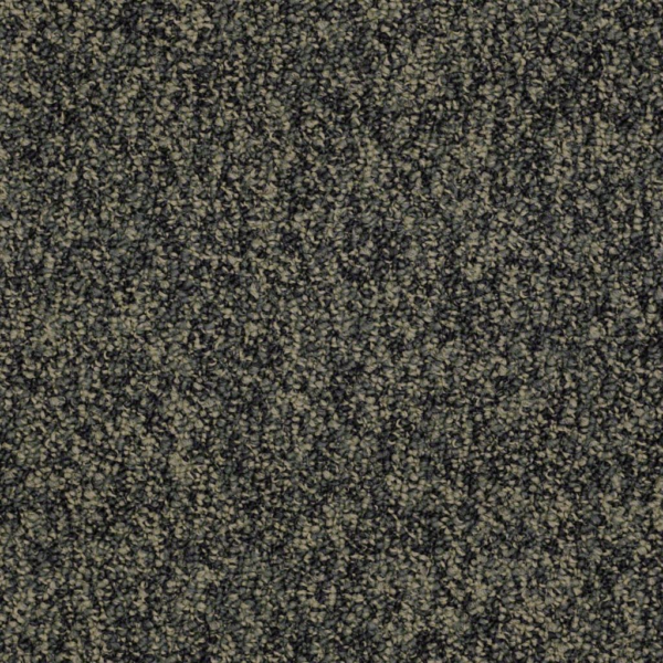 Shaw Sound Advice Hold The Line Carpet Tile 24"x24" 54488-88300