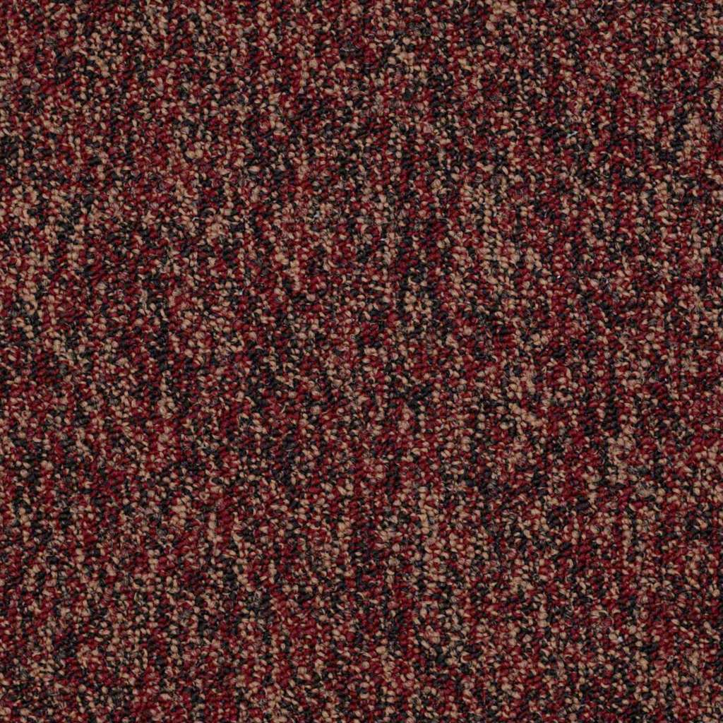 Shaw Sound Advice Practice Carpet Tile 24"x24" 54488-88801