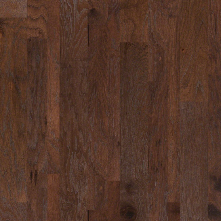 Shaw Floorte Premio Plus Siena 2490V-00549 - Discount Pricing