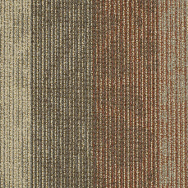Shaw Static Radar Carpet Tile 24"x24" 54564-00603