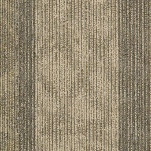 Shaw Static Receiver Carpet Tile 24"x24" 54564-00103