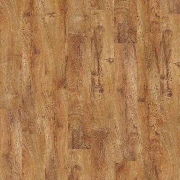 Shaw Sumter Plus Tropic 0225V-00600
