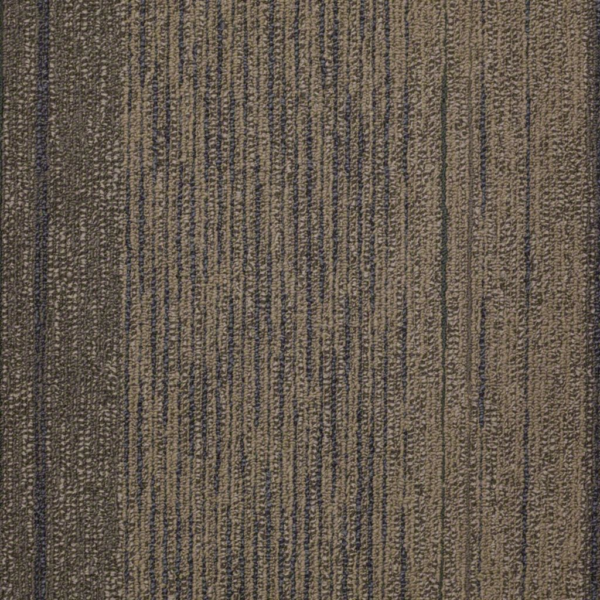 Shaw Unscripted Reality TV Carpet Tile 24"x24" 54475-00311