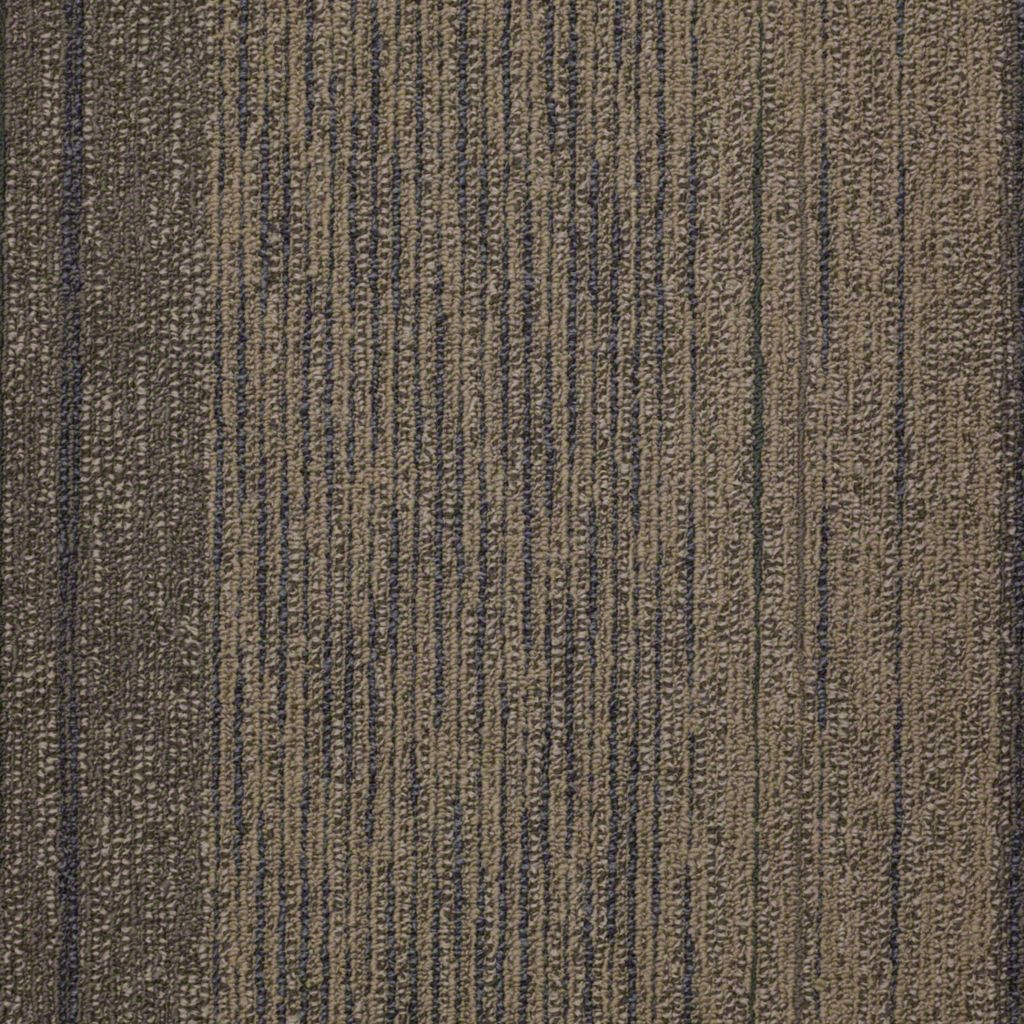 Shaw Unscripted Reality TV Carpet Tile 24"x24" 54475-00311
