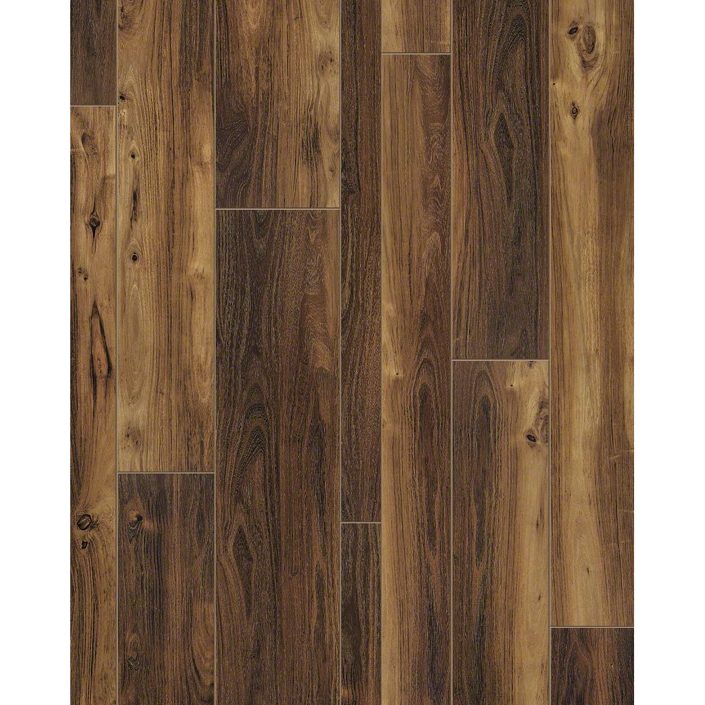 shaw wood floor adhesive  | 500 x 500