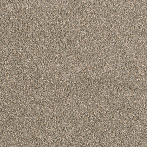 Dream Weaver Carpet Big Time Soapstone