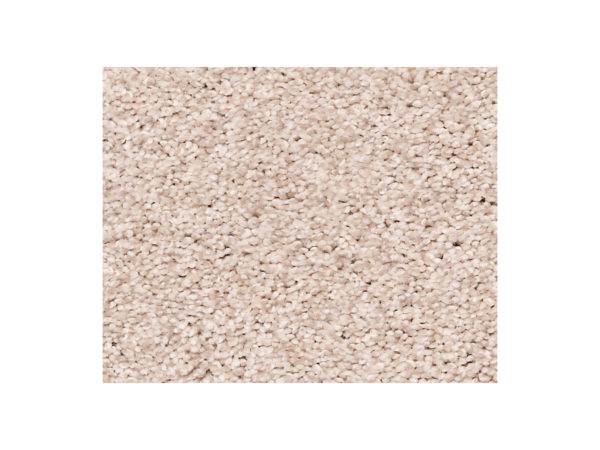Shaw Carpet Anso Colorwall Find Your Comfort TT II Soft Lullaby