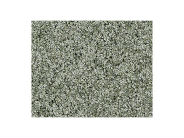 Shaw Carpet Anso Colorwall Silver Texture South Of France