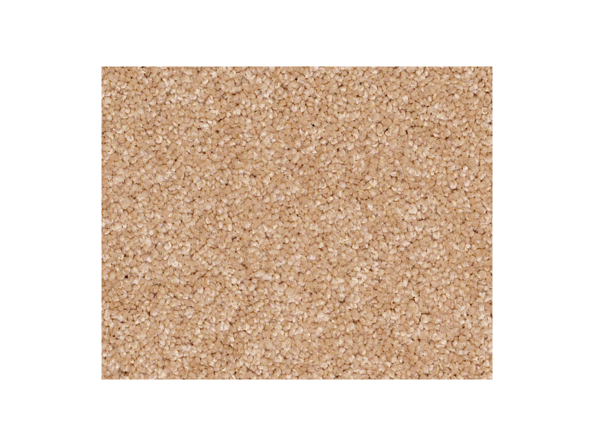 Shaw Carpet Anso Colorwall Gold Texture Spanish Villa