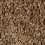 Mohawk Famous Fair Spice Tone