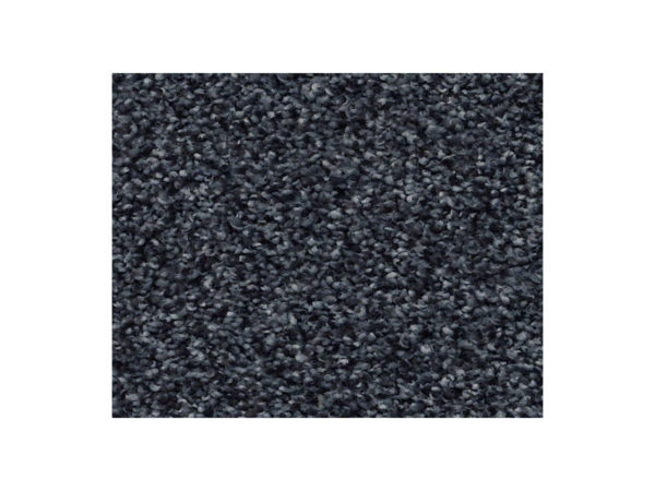 Shaw Carpet Anso Colorwall Find Your Comfort TT II Star Gazing