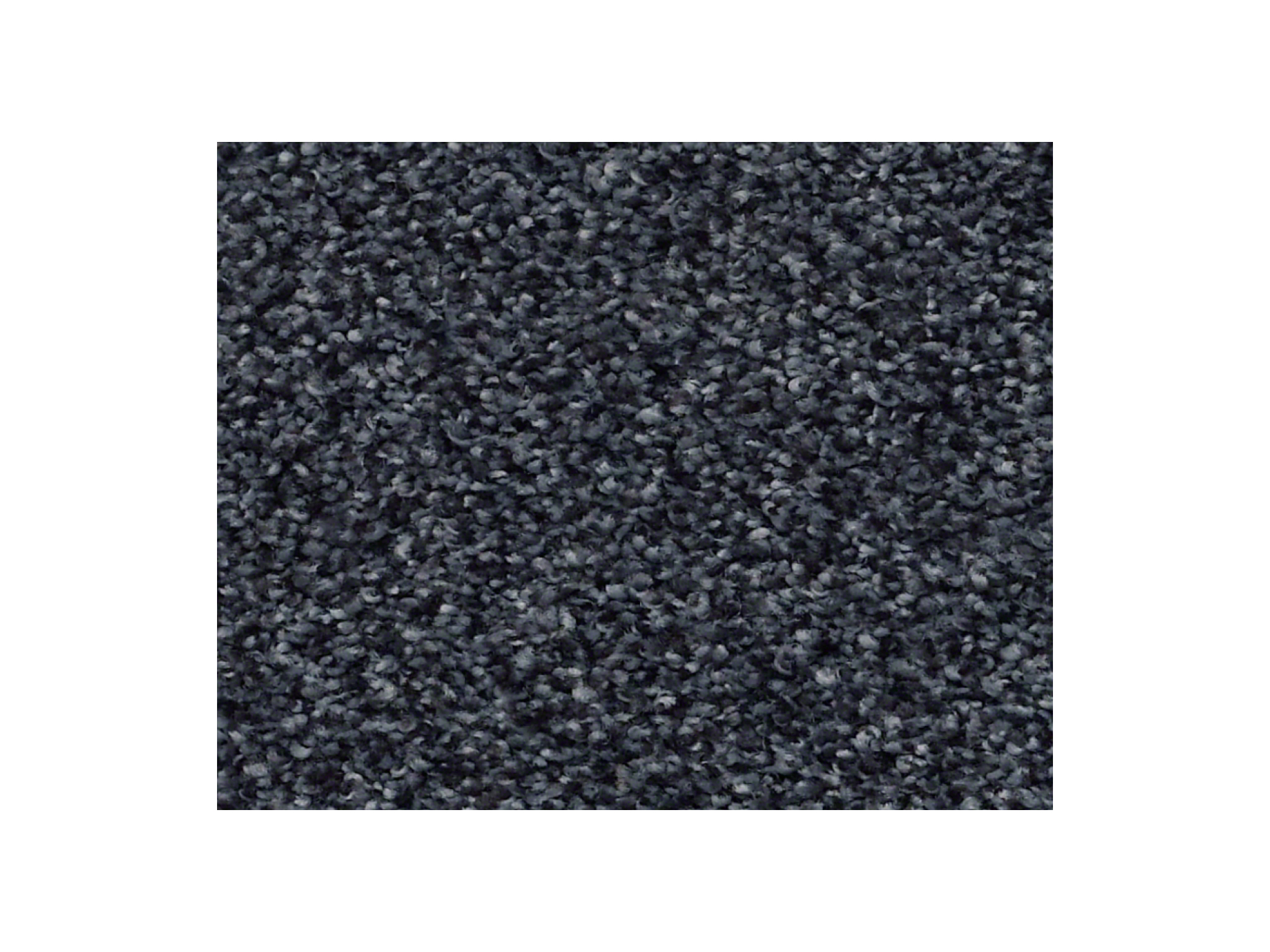 Shaw Carpet Anso Colorwall Find Your Comfort TT II Star Gazing
