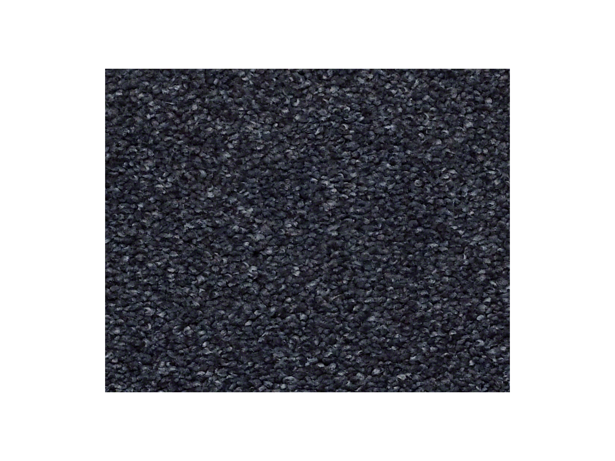 Shaw Carpet Anso Colorwall Find Your Comfort NS Blue Star Gazing