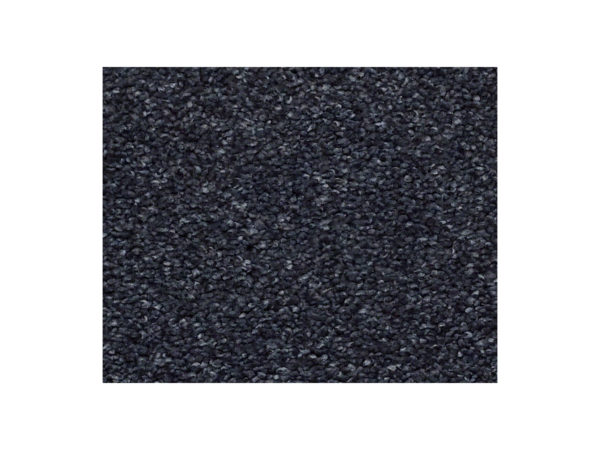 Shaw Carpet Anso Colorwall Find Your Comfort NS II Star Gazing