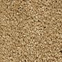 Mohawk Gentle Approach Stonington Beige