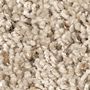 Mohawk Coastal Cheer Summer Beige
