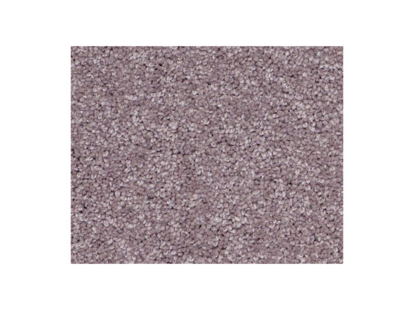 Shaw Carpet Anso Colorwall Platinum Twist Summer Heather
