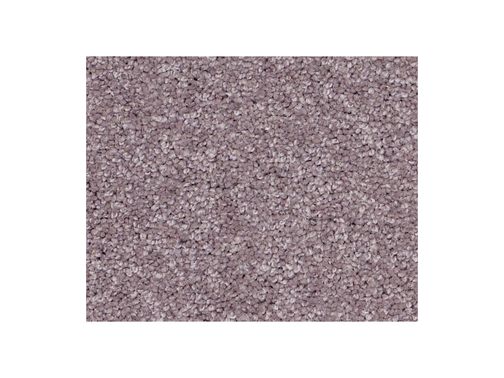 Shaw Carpet Anso Colorwall Titanium Texture Summer Heather
