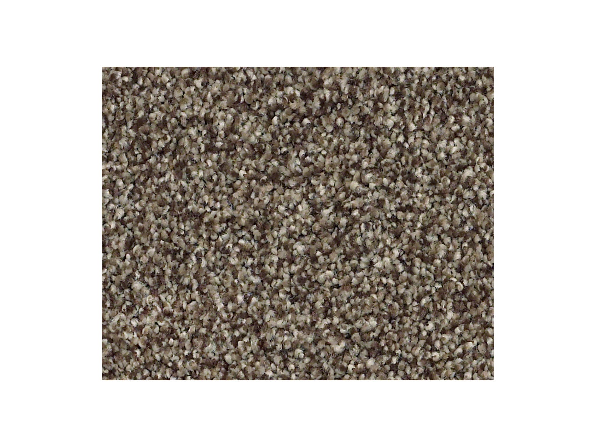 Shaw Carpet Anso Colorwall Find Your Comfort TT II Summer House